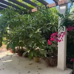 Villa Erini