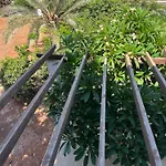 Erini *