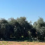 Villa Erini Protaras