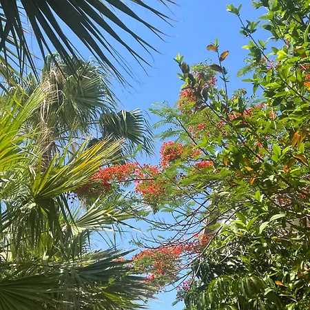 Erini Villa Protaras