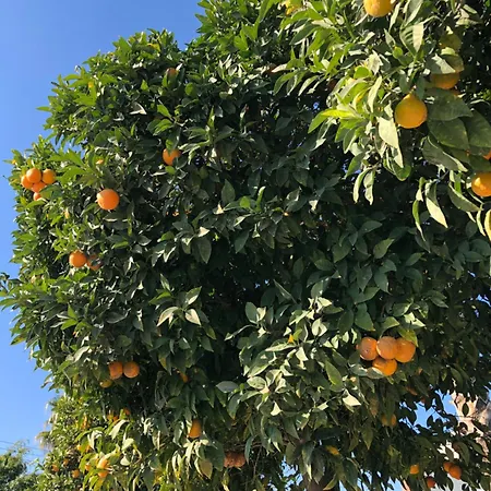 Villa Erini Protaras