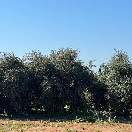 Villa Erini Protaras