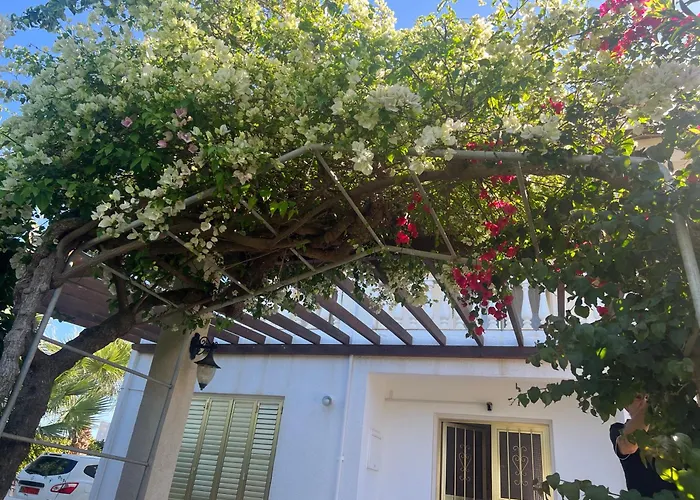 Erini Vilă Protaras