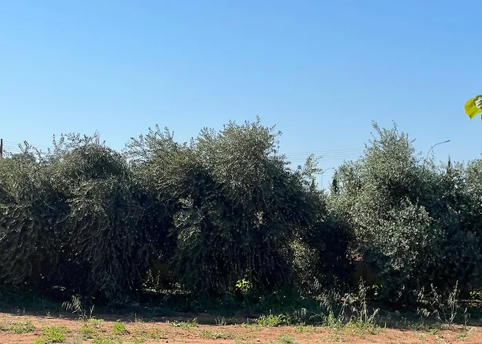 Vilă Erini Protaras