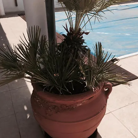 Erini * Protaras