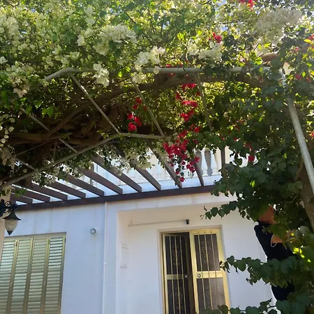 Erini * Protaras